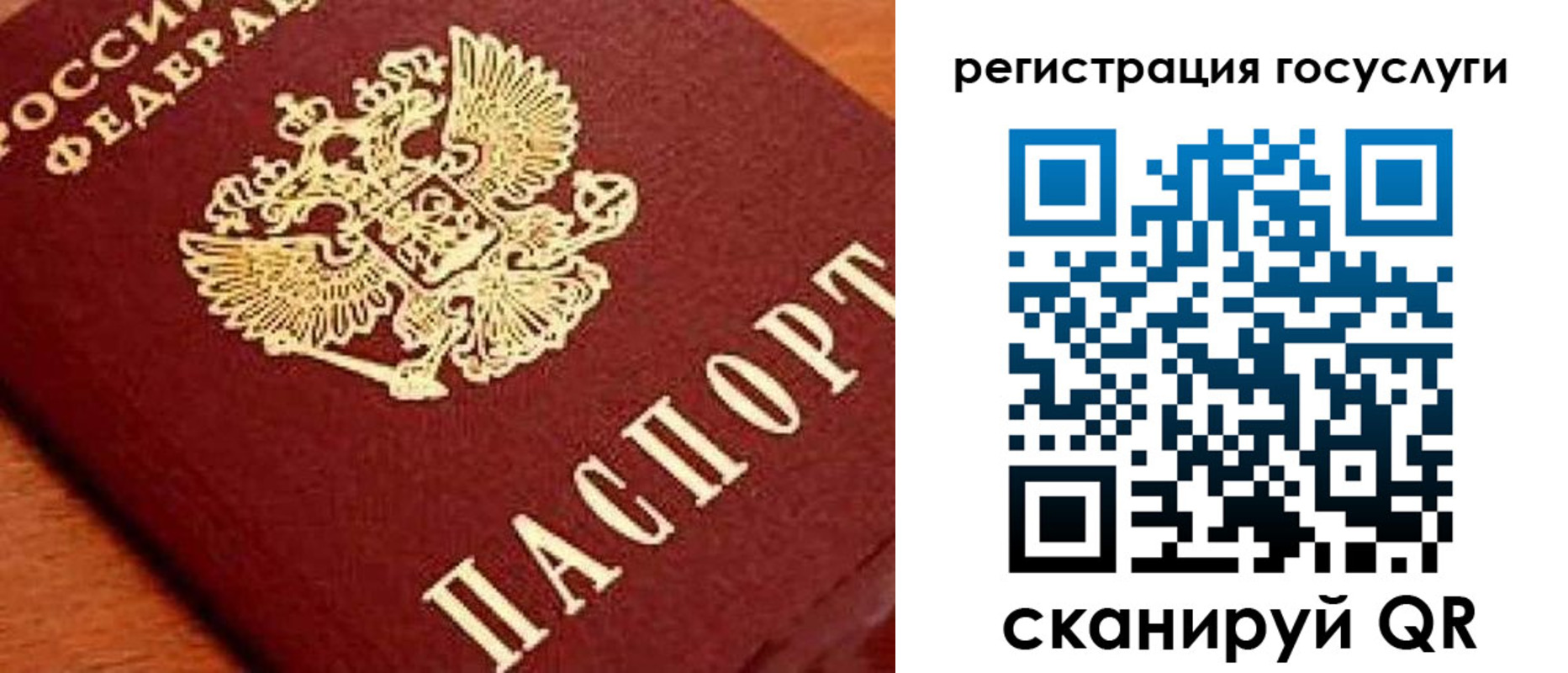 временная регистрация недорого в Торжоке
